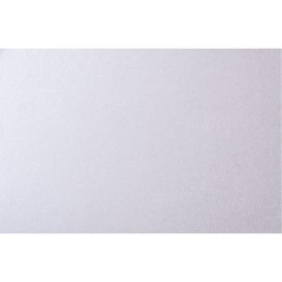 Karton wizytówkowy 215g (10 arkuszy) W33 gładki srebrny KRESKA
