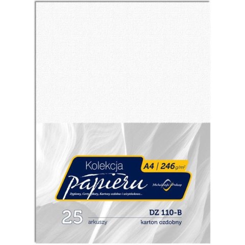 Karton wizytówkowy A4 246g DZ110-B (25) MICHALCZYK I PROKOP Karton wizytówkowy A4 246g DZ110-B (25) MICHALCZYK I PROKOP