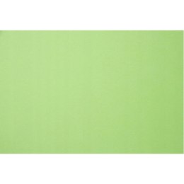 Karton wizytówkowy A4 220g KRESKA (20 arkuszy) W40 gładki zielony