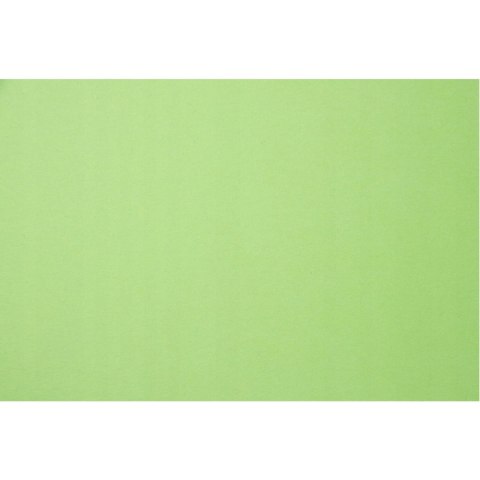 Karton wizytówkowy A4 220g KRESKA (20 arkuszy) W40 gładki zielony Karton wizytówkowy A4 220g KRESKA (20 arkuszy) W40 gładki zielony