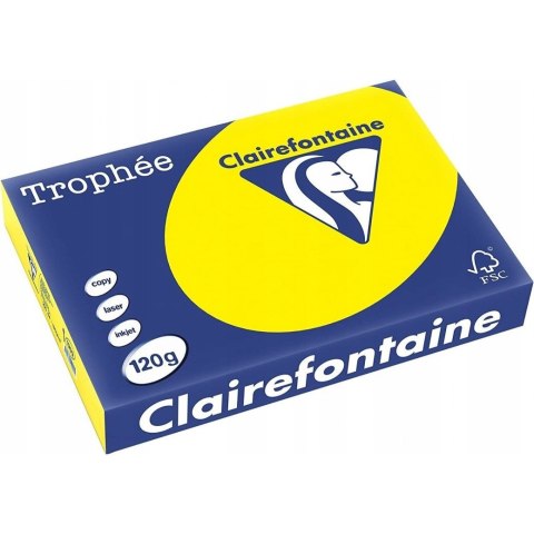 Papier ksero A4 120g TROPHEE słoneczny xca41292 250ark Papier ksero A4 120g TROPHEE słoneczny xca41292 250ark