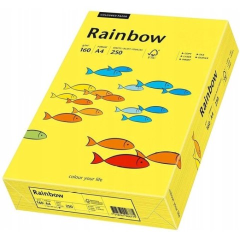 Papier ksero A4 160g RAINBOW R18 ciemnożółty 88042395 Papier ksero A4 160g RAINBOW R18 ciemnożółty 88042395