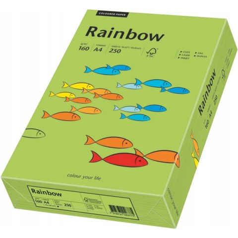 Papier ksero A4 160g RAINBOW R76 zielony 88042659 Papier ksero A4 160g RAINBOW R76 zielony 88042659