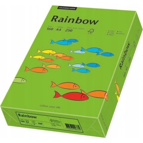 Papier ksero A4 160g RAINBOW R78 ciemny zielony 88042681 Papier ksero A4 160g RAINBOW R78 ciemny zielony 88042681