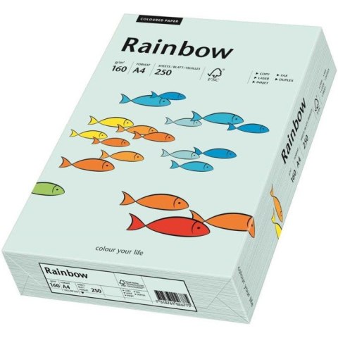 Papier ksero A4 160g RAINBOW R82 jasny niebieski 88042703 Papier ksero A4 160g RAINBOW R82 jasny niebieski 88042703