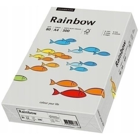 Papier ksero A4 80g RAINBOW R96 szary 88042805 Papier ksero A4 80g RAINBOW R96 szary 88042805