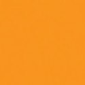 Papier ksero A4 80g TROPHEE pomarańczowy fluo 2978 500ark CLAIREFONTAINEk