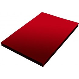 Okładka foliowa do bindowania A4 czerwona przezroczysta 0,20mm NATUNA (100szt)