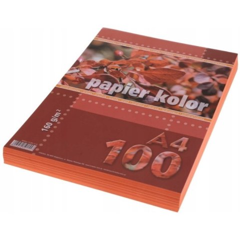Papier ksero A4 160g KRESKA pomarańczowy 100ark Papier ksero A4 160g KRESKA pomarańczowy 100ark