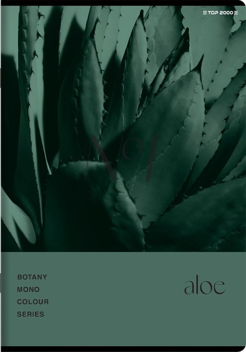 Zeszyt A5 60k kratka margines BOTANY 400182432 TOP 2000 Zeszyt A5 60k kratka margines BOTANY 400182432 TOP 2000