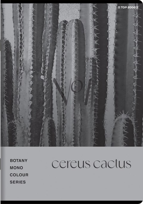 Zeszyt A5 60k kratka margines BOTANY 400182432 TOP 2000 Zeszyt A5 60k kratka margines BOTANY 400182432 TOP 2000