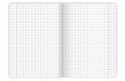 Zeszyt A5 80k kratka margines BIRDS EYE 400182446 TOP 2000