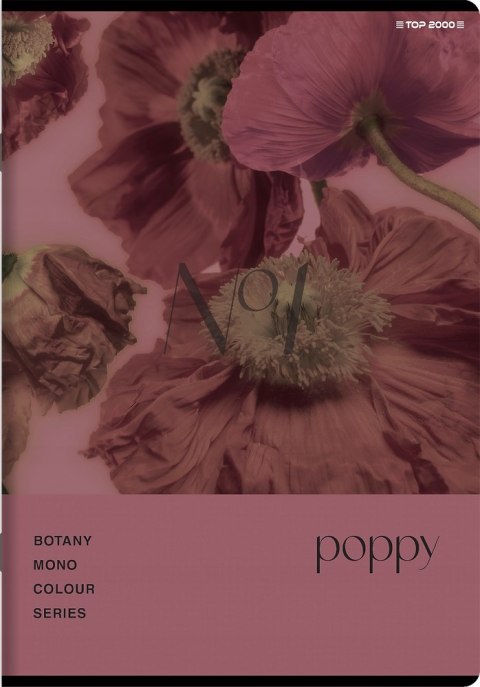 Zeszyt A5 80k kratka margines BOTANY 400181619 TOP 2000 Zeszyt A5 80k kratka margines BOTANY 400181619 TOP 2000