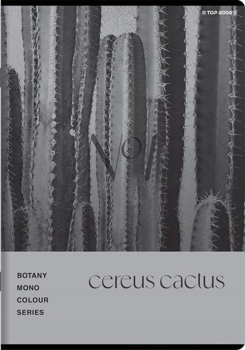 Zeszyt A5 96k kratka margines BOTANY 400182448 TOP 2000 Zeszyt A5 96k kratka margines BOTANY 400182448 TOP 2000