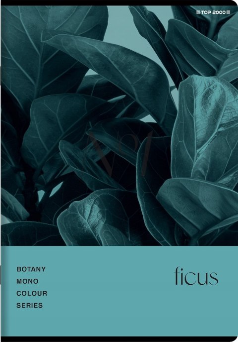 Zeszyt A5 96k kratka margines BOTANY 400182448 TOP 2000 Zeszyt A5 96k kratka margines BOTANY 400182448 TOP 2000