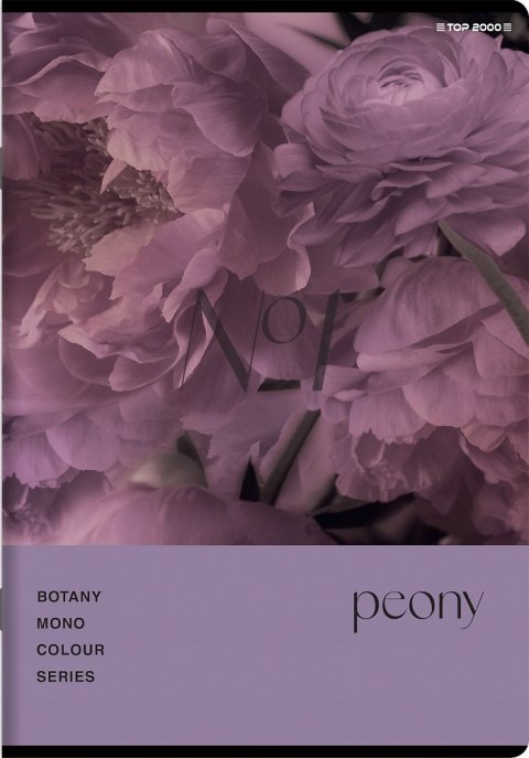 Zeszyt A5 96k kratka margines BOTANY 400182448 TOP 2000 Zeszyt A5 96k kratka margines BOTANY 400182448 TOP 2000