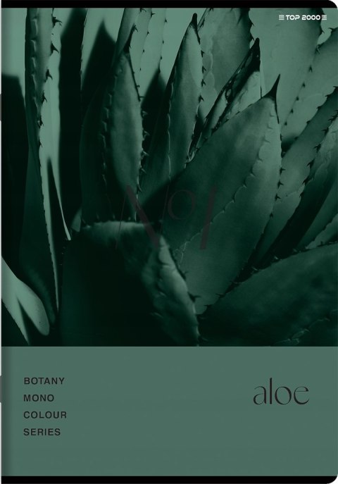 Zeszyt A5 96k kratka margines BOTANY 400182448 TOP 2000 Zeszyt A5 96k kratka margines BOTANY 400182448 TOP 2000
