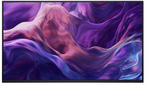 Monitor 24 cale P2425HE LED IPS 1920x1080/16:9/HDMI/DP/USBC/USB/RJ45/5Y