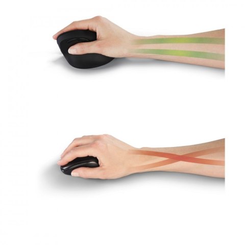 Mysz bezprzewodowa ergonomiczna EMW-500 Czarna Mysz bezprzewodowa ergonomiczna EMW-500 Czarna