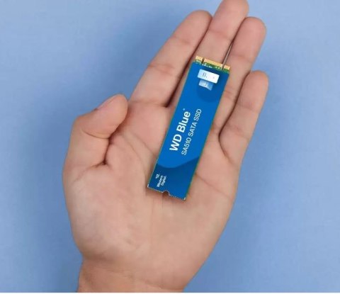 Dysk SSD Blue 2TB SA510 M.2 2280 WDS200T3B0B Dysk SSD Blue 2TB SA510 M.2 2280 WDS200T3B0B