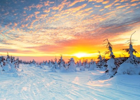 Kalendarz wieloplanszowy 13 kartkowy mix wzorów W2 BESKIDY