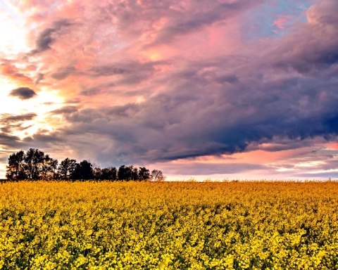 Kalendarz wieloplanszowy 13 kartkowy mix wzorów W2 BESKIDY