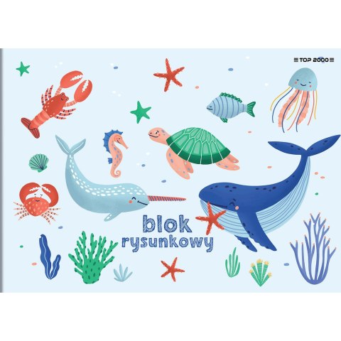 Blok rysunkowy szkolny A4 biały 20 kartek 70g 400184492 TOP 2000 Blok rysunkowy szkolny A4 biały 20 kartek 70g 400184492 TOP 2000