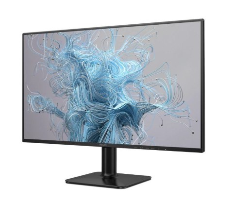 Monitor 24E2N1110 23.8 cala IPS 120Hz HDMI VGA