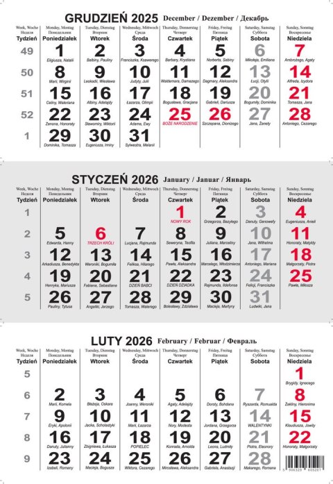 Kalendarz trójdzielny T2 BESKIDY