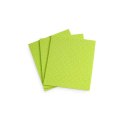 Ścierki gąbczaste Natura (3szt) SPONTEX 97042394/97042158