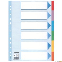 Przekładki karton A4 6 kart ESSELTE 100192 kolorowe z kartą opisową