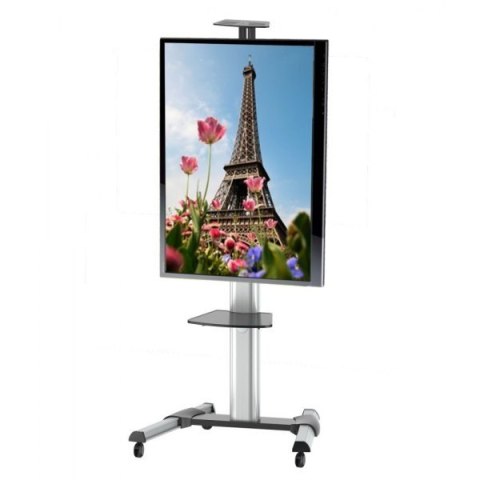 Stojak mobilny LCD/LED 37-70cali regulowany 160cm, 50kg Stojak mobilny LCD/LED 37-70cali regulowany 160cm, 50kg