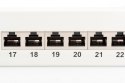 Patch panel 19" 24 porty, kat.6, S/FTP, 1U, wspornik kablowy, szary (kompletny)