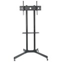 Stojak mobilny LCD/LED 30-65cali,60kg, regulowany