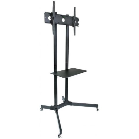 Stojak mobilny LCD/LED 30-65cali,60kg, regulowany