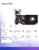 Karta graficzna - Geforce GT210 1GB DDR2 64Bit DVI HDMI VGA LP Fan V7