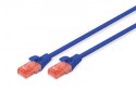 Patch cord U/UTP kat.6 PVC 5m niebieski