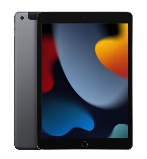 IPad 10.2 cala Wi-Fi + Cellular 256GB - Gwiezdna szarość