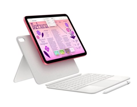 IPad 10.9 cala Wi-Fi 256GB Niebieski IPad 10.9 cala Wi-Fi 256GB Niebieski