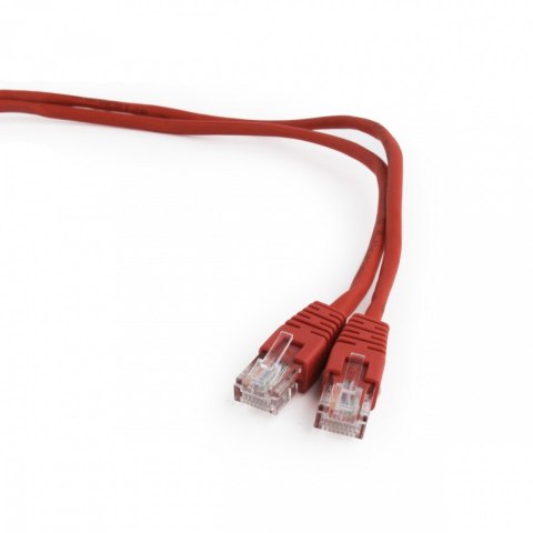 Patch cord kat.5e osłonka zalewana 0.25M czerwony Patch cord kat.5e osłonka zalewana 0.25M czerwony
