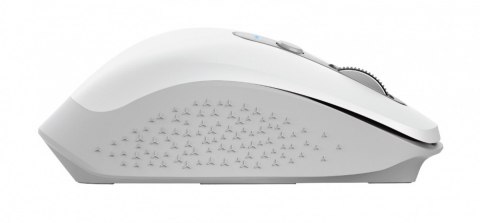 Mysz bezprzewodowa Ozza Biała