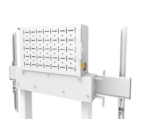 Uchwyt na monitor WL55-875WH1 Uchwyt na monitor WL55-875WH1