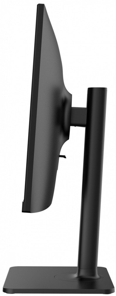 Monitor Modern MD2412P 23.8 cala/FLAT/LED/FHD/100Hz Monitor Modern MD2412P 23.8 cala/FLAT/LED/FHD/100Hz